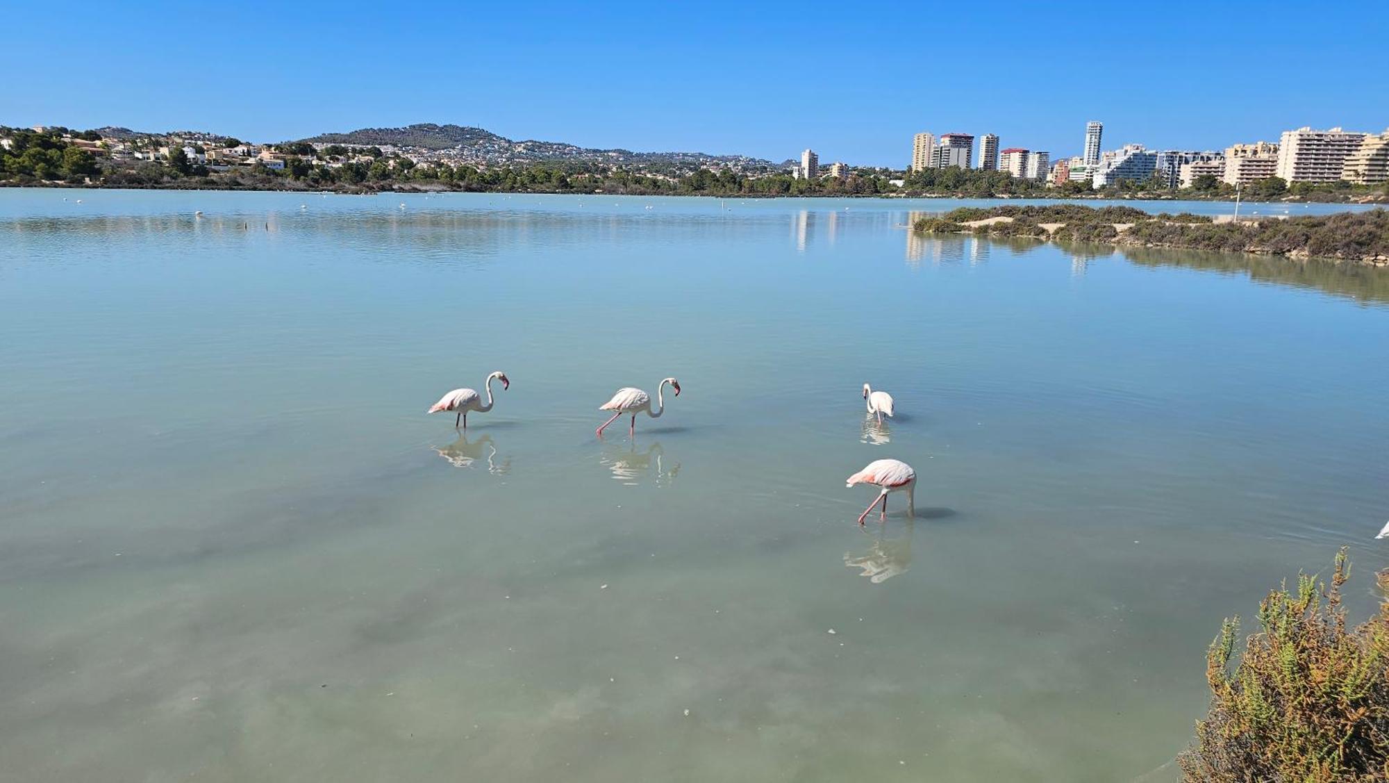 קלפה Apartamentos Esmeralda 111B מראה חיצוני תמונה